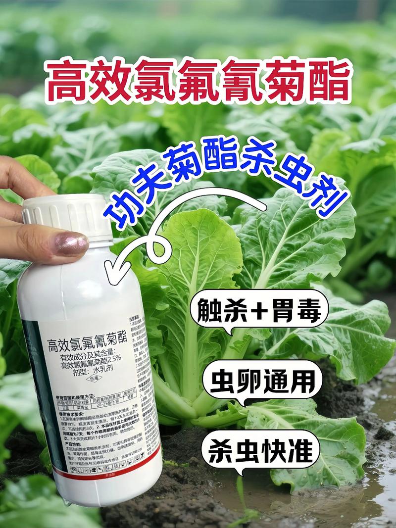 湘西代生中心:农药对供卵代生妈妈的危害